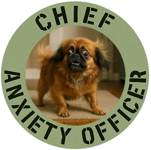 T‑Shirt — "Chief Anxiety Officer" Funny Dog Graphic Tee