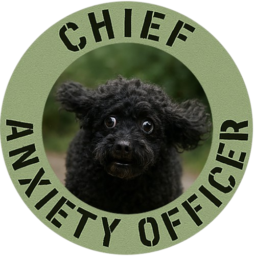 Chief Anxiety Officer T-Shirt – Funny Cute Pug Anxiety Tee
