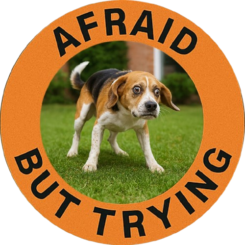 Afraid But Trying Tee — Cute Beagle Motivational Dog T-Shirt