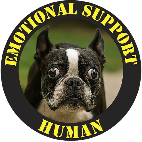 Emotional Support Human Tee — Cute Boston Terrier Pet Lover Shirt