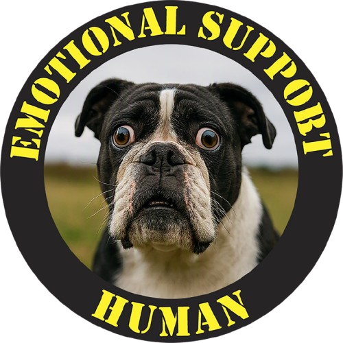 Emotional Support Human Tee — Funny Boston Terrier Dog Graphic T-Shirt