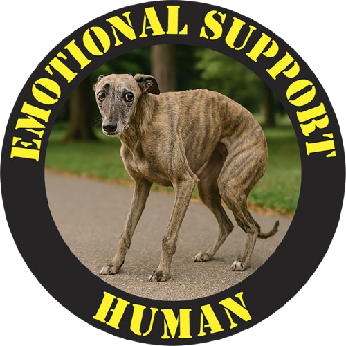 T-Shirt — "Emotional Support Human" Funny Dog Design