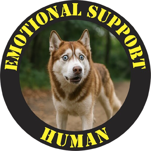 Emotional Support Human T-Shirt — Husky Pet Lover Tee
