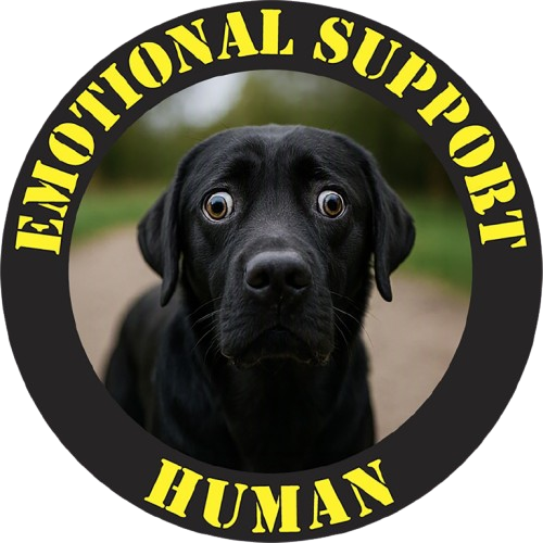 T-Shirt — “Emotional Support Human” Black Lab Graphic Tee