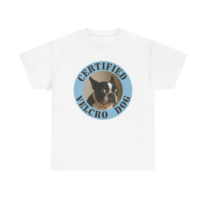 Certified Velcro Dog T‑Shirt — Funny Boston Terrier Pet Tee