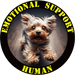 Emotional Support Human Tee