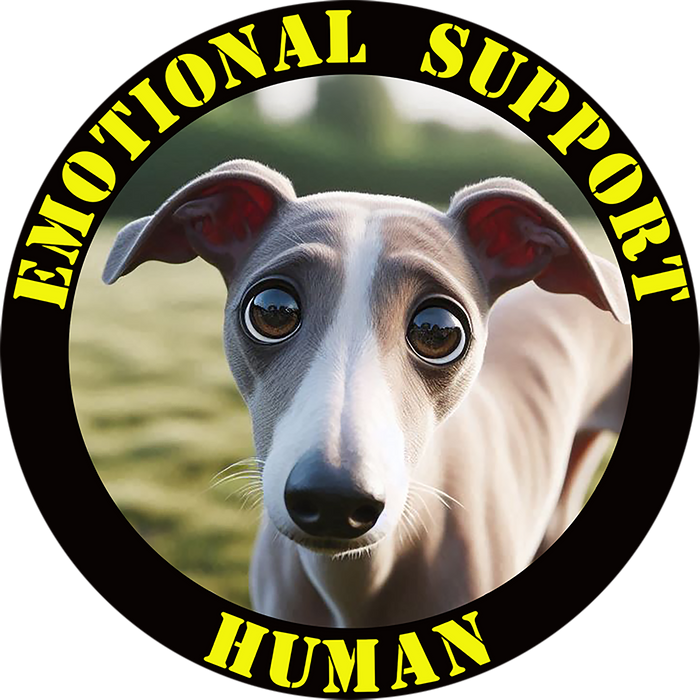 Emotional Support Human Tee - Unisex Cotton Shirt, Funny Dog Lover Gift, Pet Parent Apparel, Quirky Graphic Tee, Supportive Humor Wear