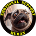 Emotional Support Human Tee