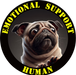 Emotional Support Human Tee