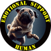 Emotional Support Human Tee