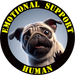 Emotional Support Human Tee