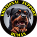 Emotional Support Human Tee