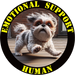 Emotional Support Human Tee 