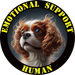 Emotional Support Human Tee