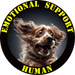 Emotional Support Human Tee