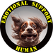 Emotional Support Human Tee
