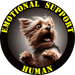 Emotional Support Human Tee 