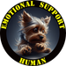 Emotional Support Human Tee