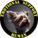 Emotional Support Human Tee